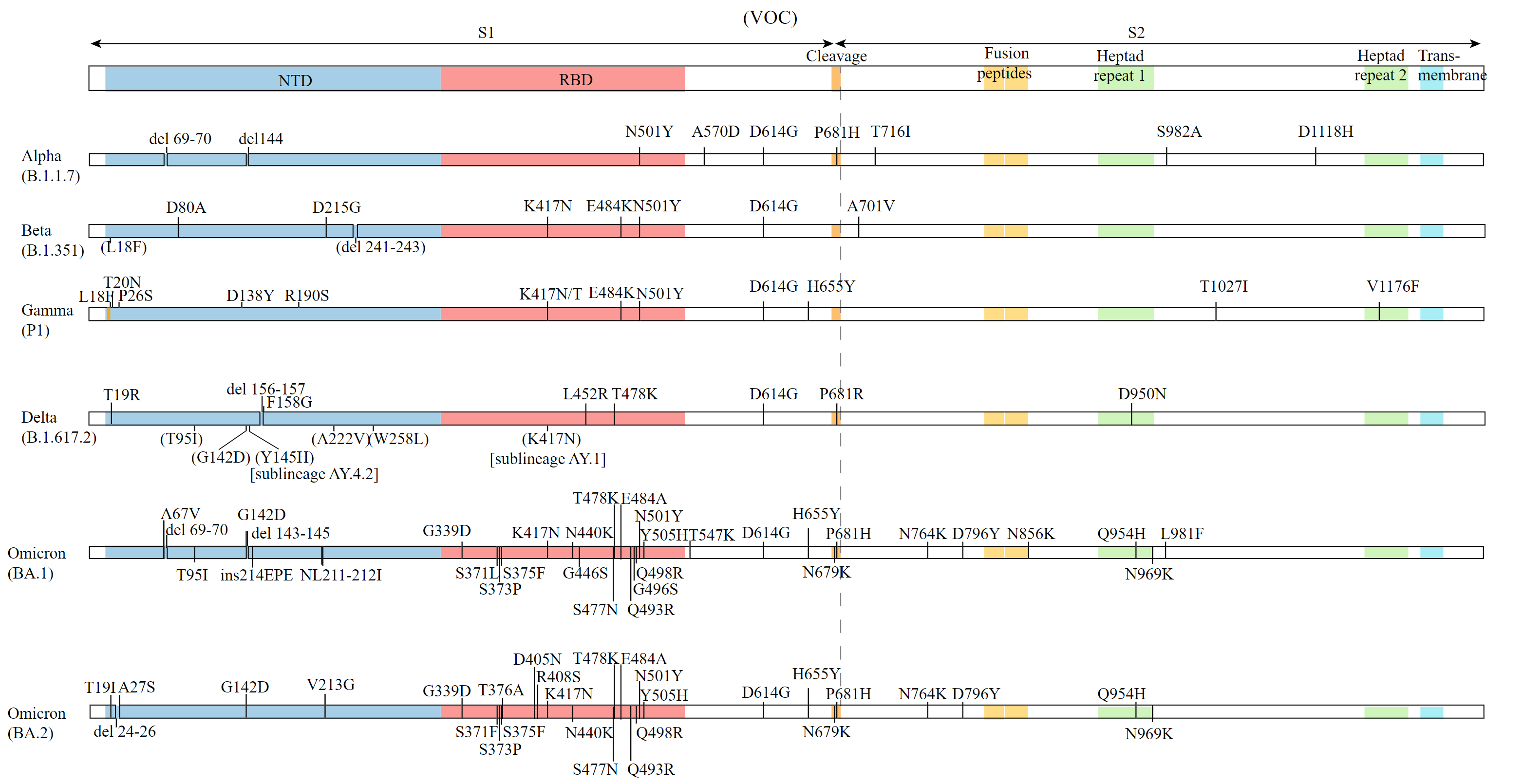 Encapsulated SARS-CoV-2 mRNA qPCR Control - Click Image to Close